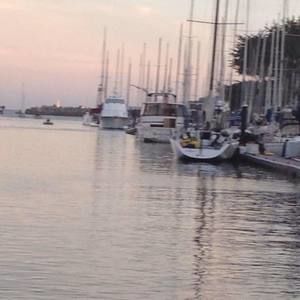 Meet your Posher, Bonnie